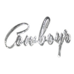 cowboys-white.png