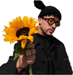 Bad_Bunny_Sunflower.png