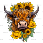 Sunflowers_Highland_Cow