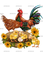 Western_Chicken_Family