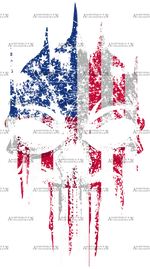 USA_Flag_Skull