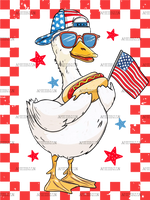 Goose_Boy_Pink_July_4th