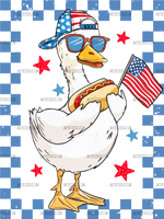 Goose_Boy_Blue_July_4th