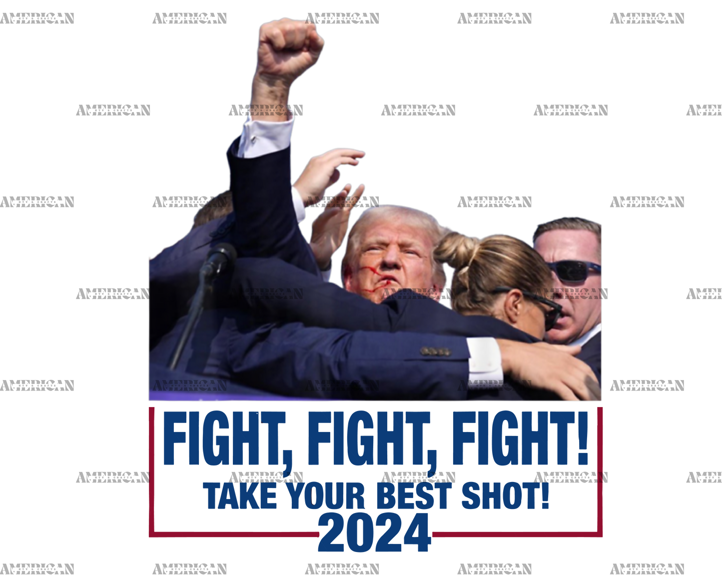 Fight Take Your Best Shot 2024 DTF Transfer