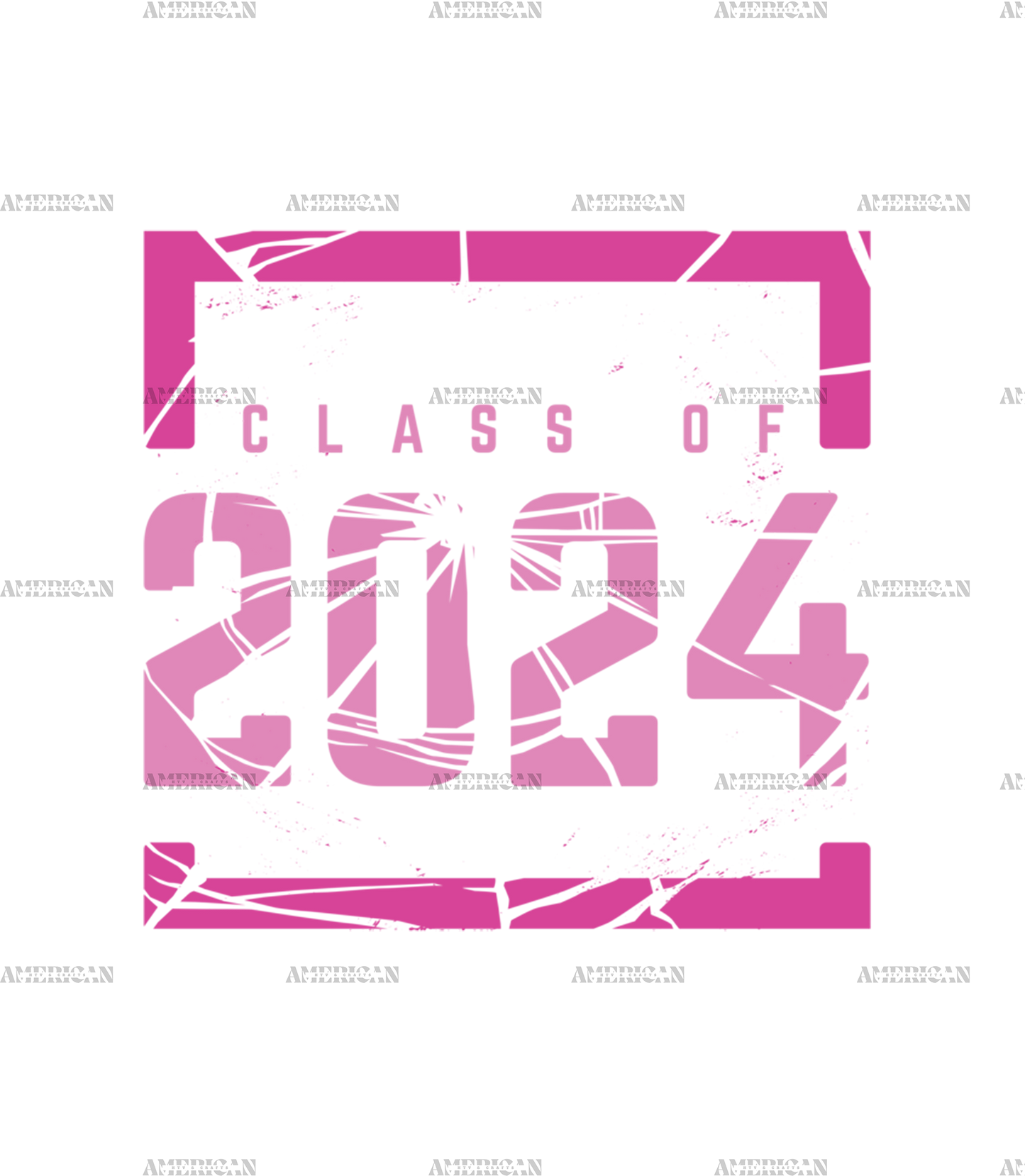 Class Of 2024 Web Pink DTF Transfer