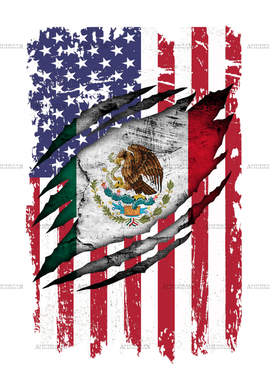Mexican American Flag Dtf Transfer