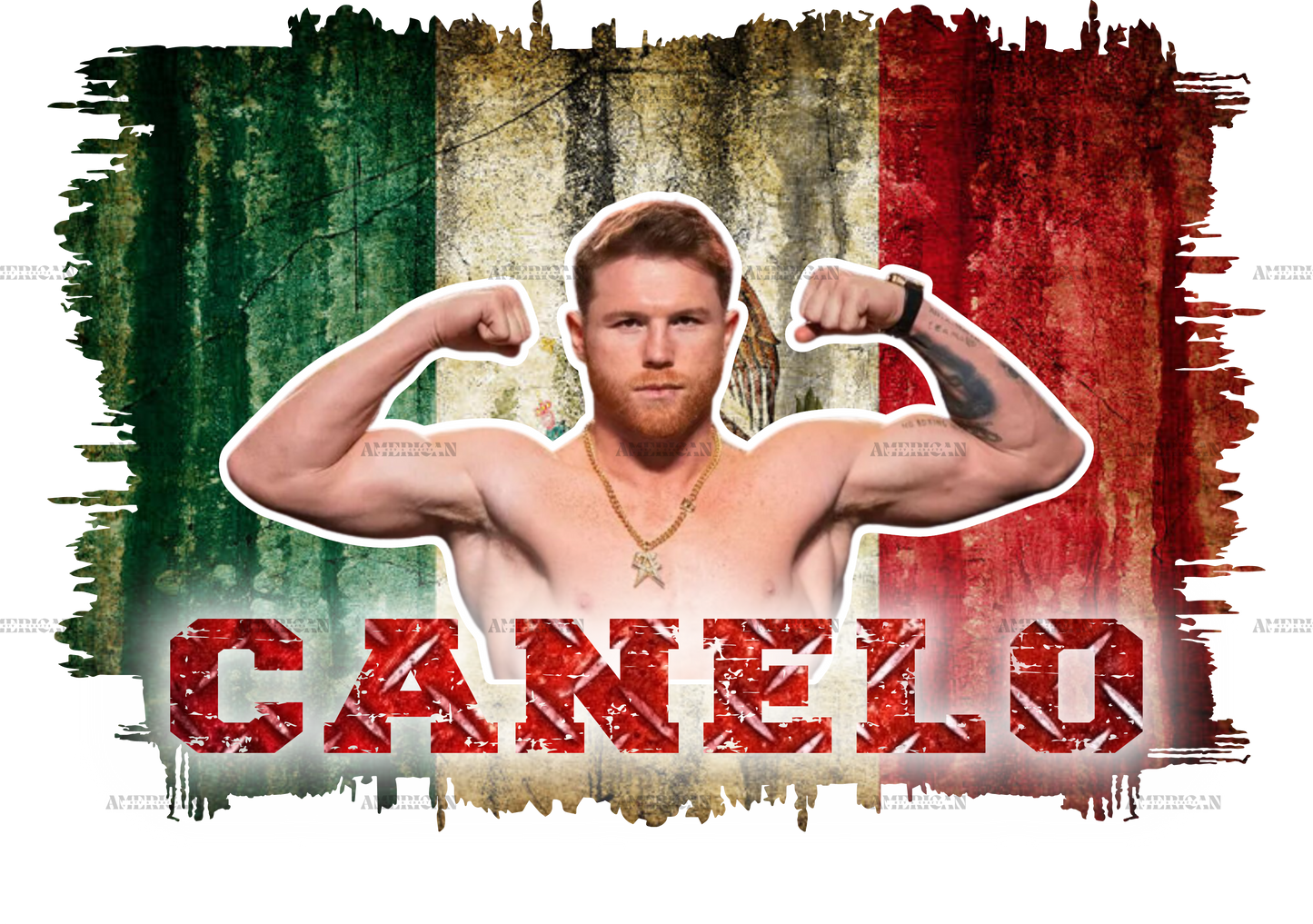 Mexican Flag Canelo DTF Transfer