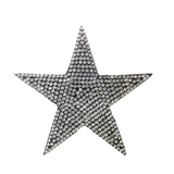 silver_star_9edfd292-10f9-48c2-92db-ae5dfb01d9d8.png