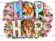 Hip_Hop_Rabbit.png