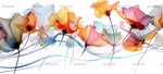 Flowers-11.png