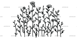 Wild_flowers-19.png