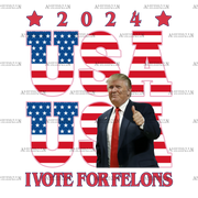 2024 USA I Vote For Felons DTF Transfer