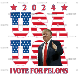 2024 USA I Vote For Felons DTF Transfer