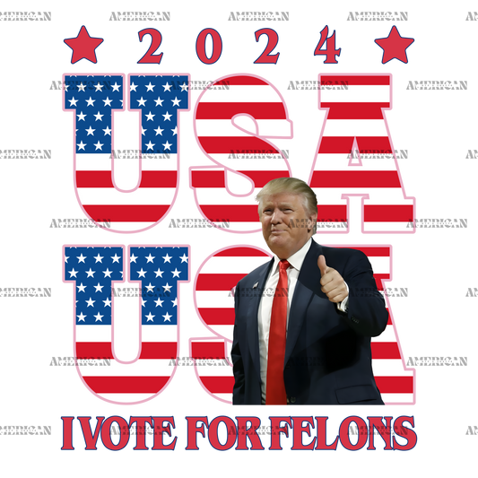 2024 USA I Vote For Felons DTF Transfer