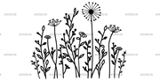 Wild_flowers-22.png