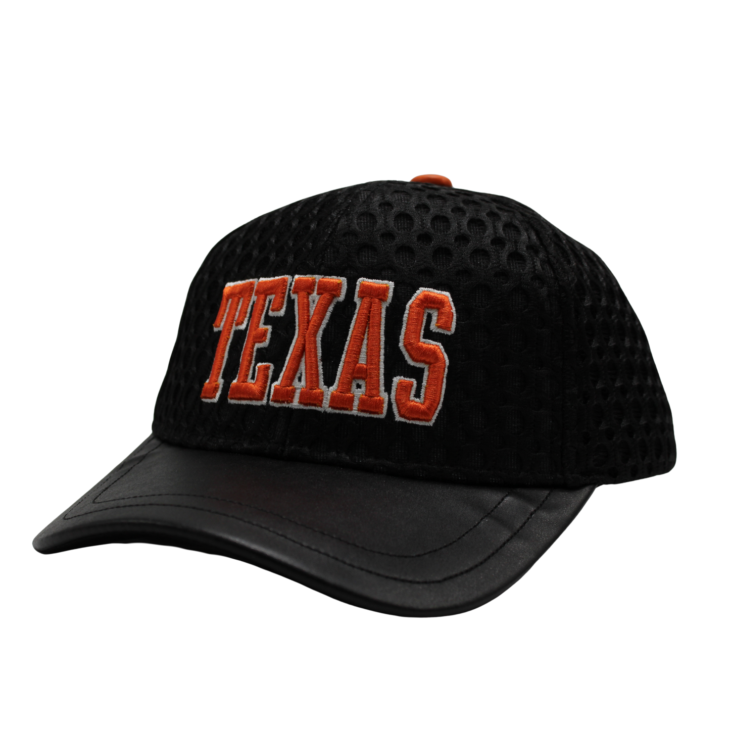 Texas Embroidered Perforated Cap