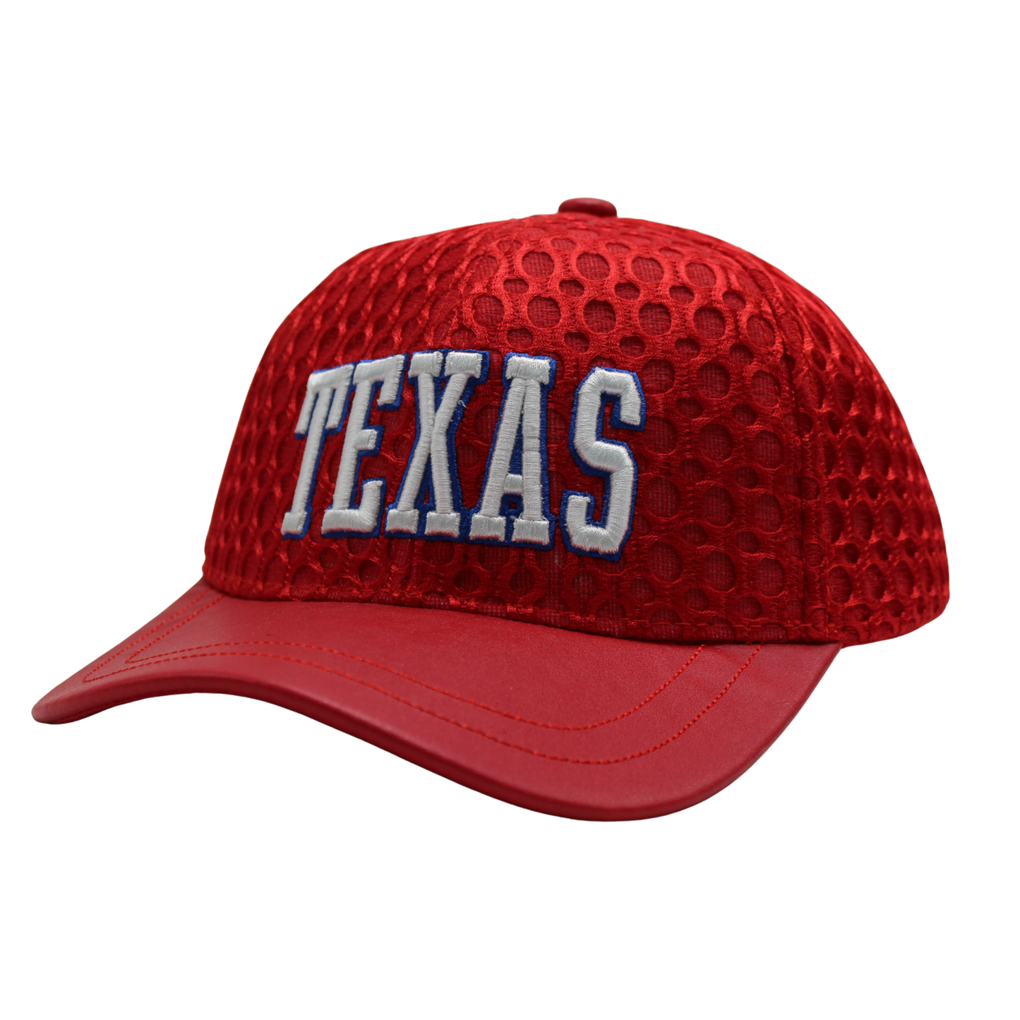 Texas Embroidered Perforated Cap