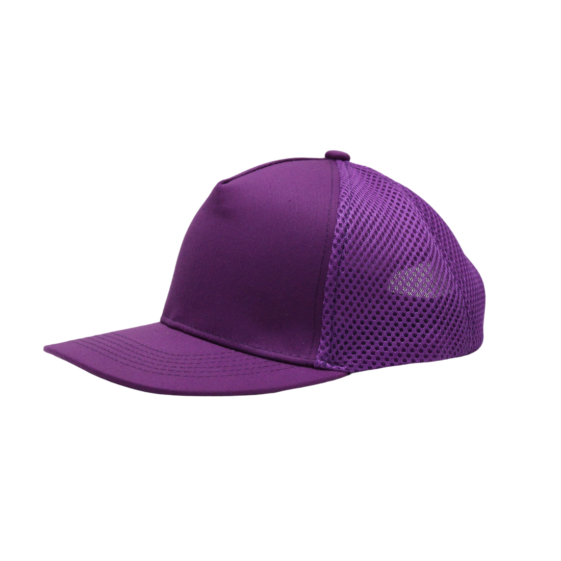 purple-2.png