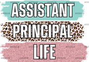 Assistant_Principal_Life.png
