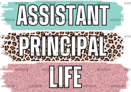 Assistant_Principal_Life.png