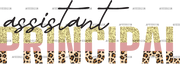 Assistant_Principal-3.png