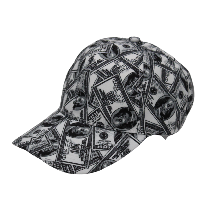 Dollars Patterned Caps