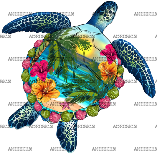 Summer_Turtle.png
