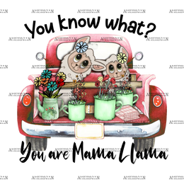 You_Know_What_You_Are_Mama_Llama.png