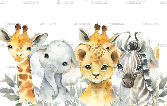 Safari