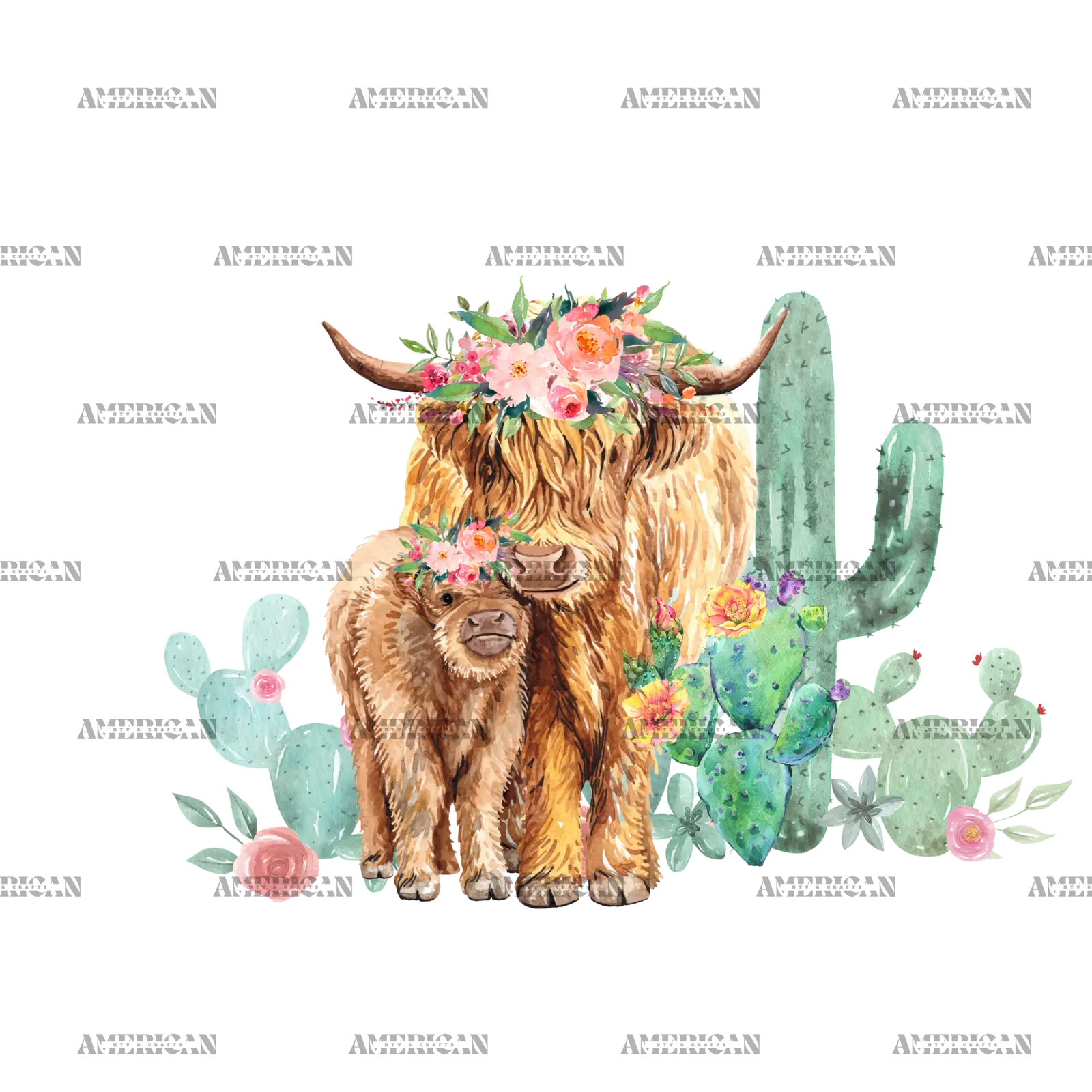 Western_Heifers