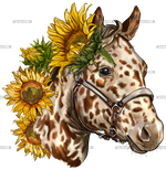 Horse_With_Sunflowers-1