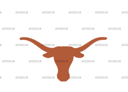 Longhorns_Texas_Orange