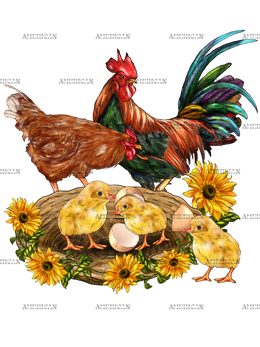 Western_Chicken_Family
