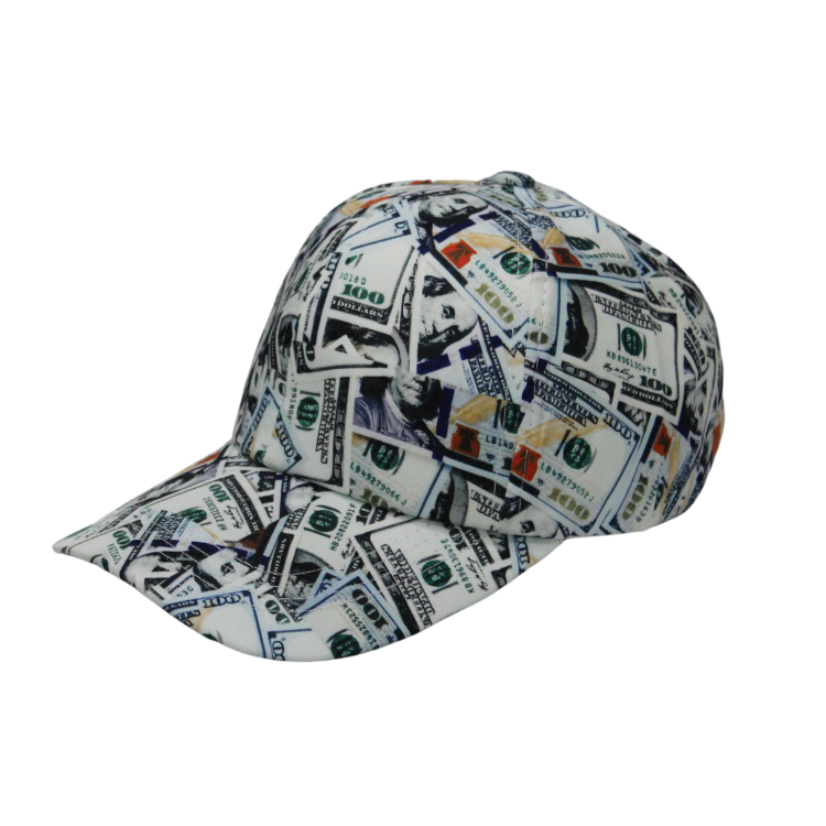 Dollars Patterned Caps