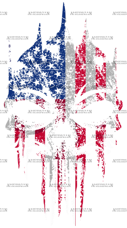 USA_Flag_Skull