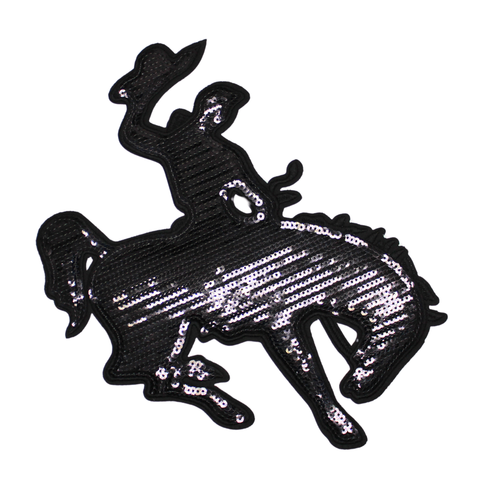 horse_rider.png
