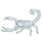 scorpio.png