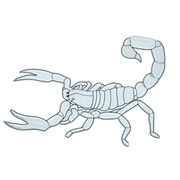 scorpio.png