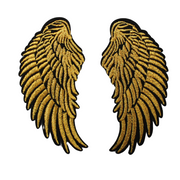wings-gold_30d4cf75-6fed-49f0-922a-1aa7de2bccdb.png