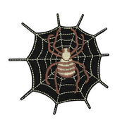 spider_web_6642c721-4e79-4d19-b2b2-b1a6ab1d705c.png