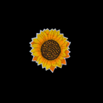sunflowers-small.png