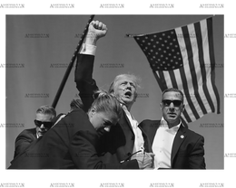 Fight Trump 2024-3 DTF Transfer