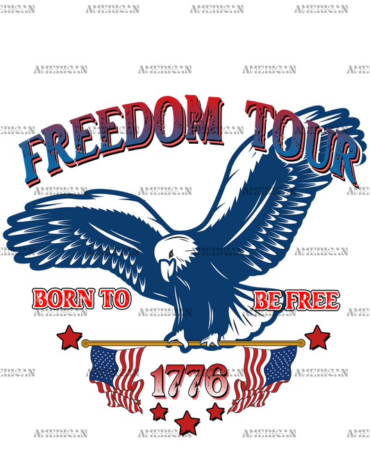 Freedom Tour 1776 DTF Transfer