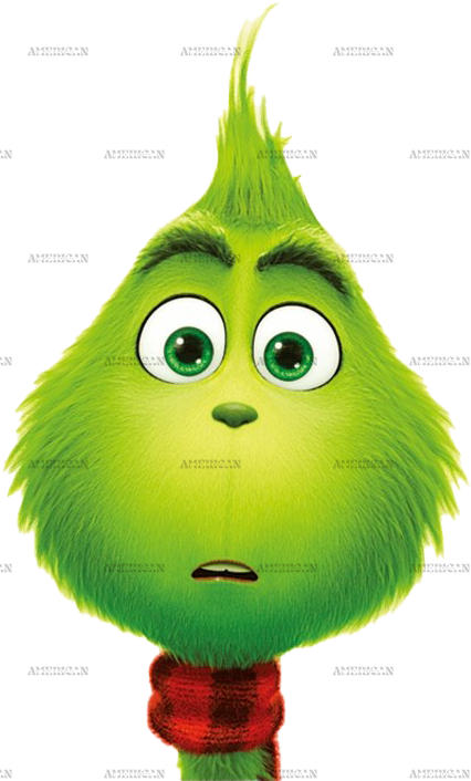 Grinch Face DTF Transfer