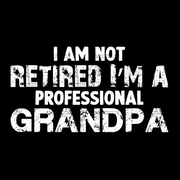I Am Not Retired I'm A Professional Grandpa DTF Transfer