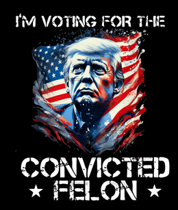 I'm Voting For The Convicted Felon-2 DTF Transfer