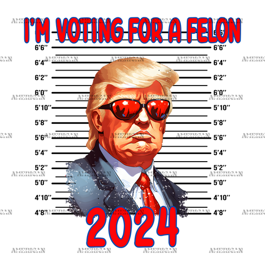 I'm Voting For The Felon 2024-1 DTF Transfer