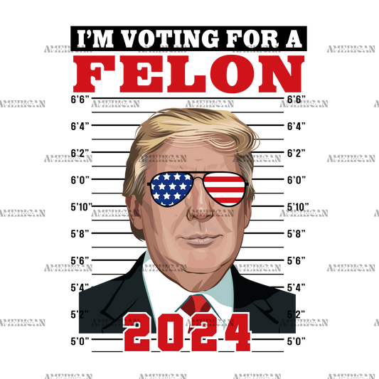 I'm Voting For The Felon 2024-2 DTF Transfer