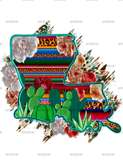 Louisiana Map Serape DTF Transfer