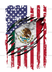 Mexican American Flag Dtf Transfer
